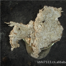 桉树专用有机肥