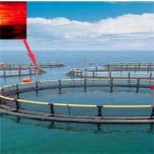 厂家直供太阳能海洋养殖警示灯|网箱警示灯|网箱一体化红闪警示灯