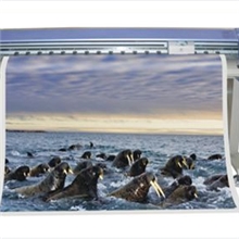 供应近期巅峰之作SC-180户内/户外压电机，（180CM）打印宽幅