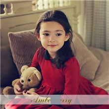 Amberberry3869秋冬童装新款女童可爱公主裙外贸品牌批发