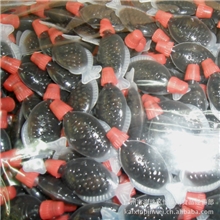 怡泰批发日本寿司料理小鱼仔酱油紫菜包饭便当酱油整盒500支