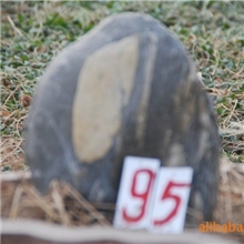 室内泰山石95，崂山奇石城