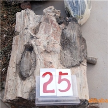 木化石25，崂山奇石城