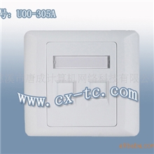 供应豪华加厚型ABS材质双口面板