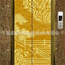 豪华专业电梯厅门装饰图片