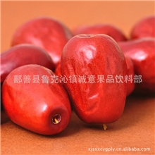 特价供应新渝绿旺新疆大枣量大优惠新疆红枣红枣批发