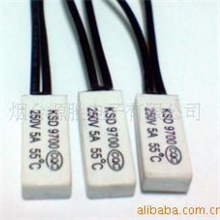 9700突跳式温控器、BW复位开关、热保护器、5A10A15A方形开关